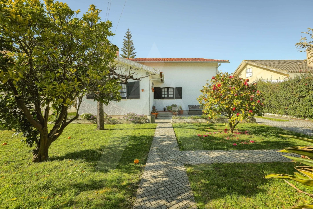 Moradia T5 para Venda em Ílhavo (São Salvador) Foto 34