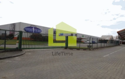 Loja para Venda em Pombal