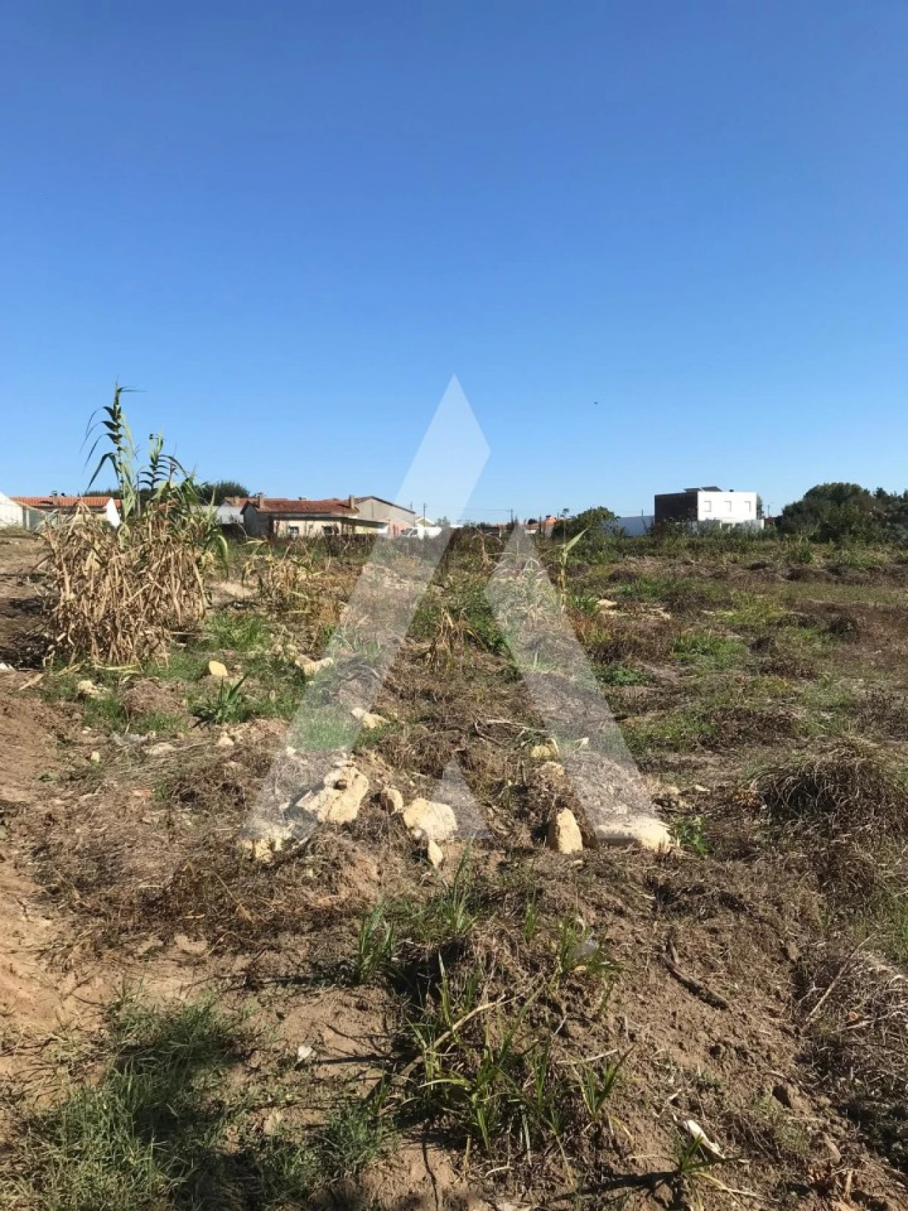 Terreno para Venda em Palhaça Foto 9