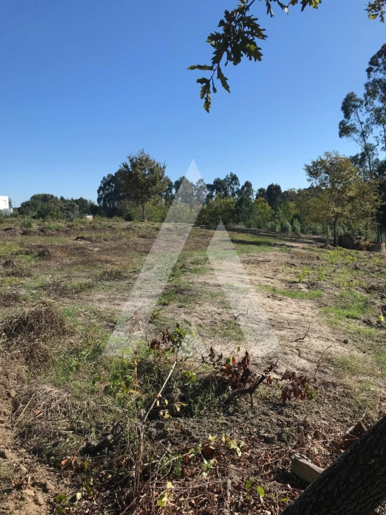 Terreno para Venda em Palhaça Foto 10