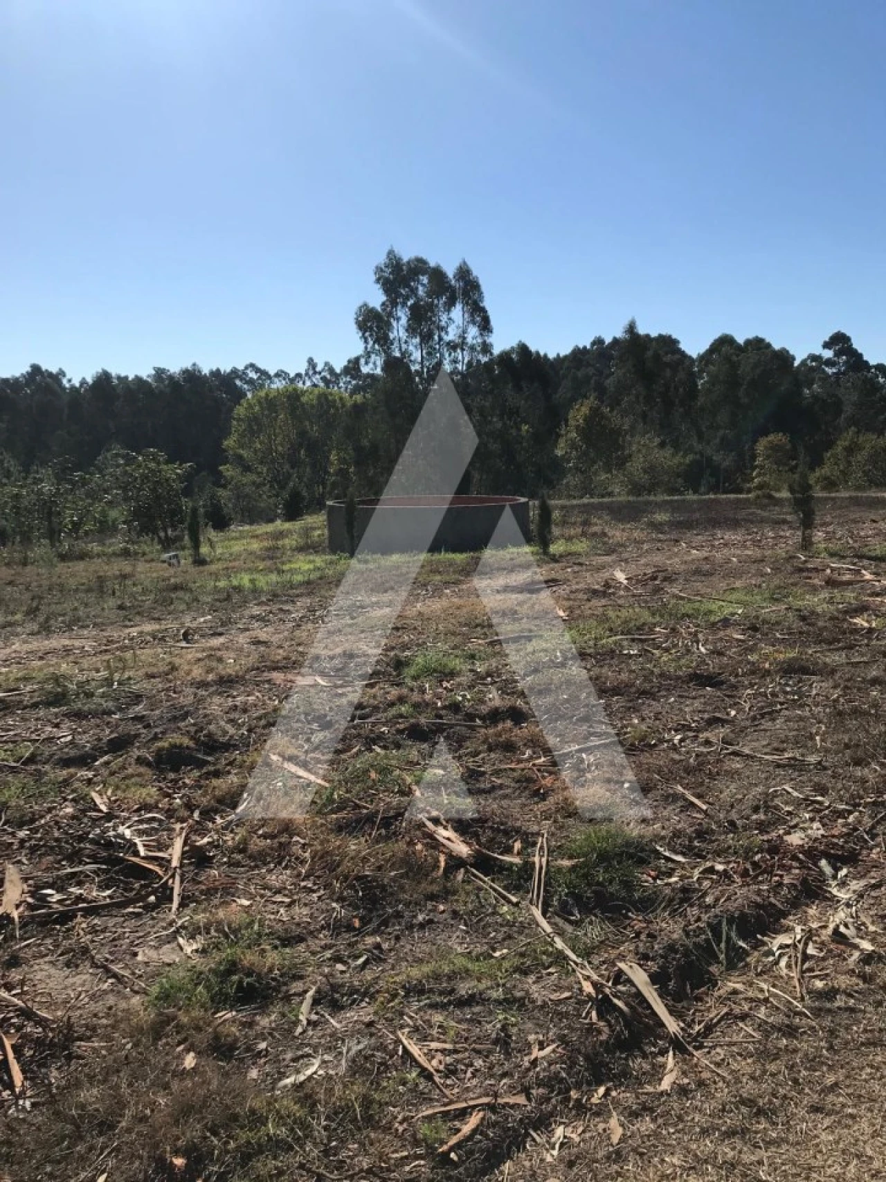 Terreno para Venda em Palhaça Foto 11