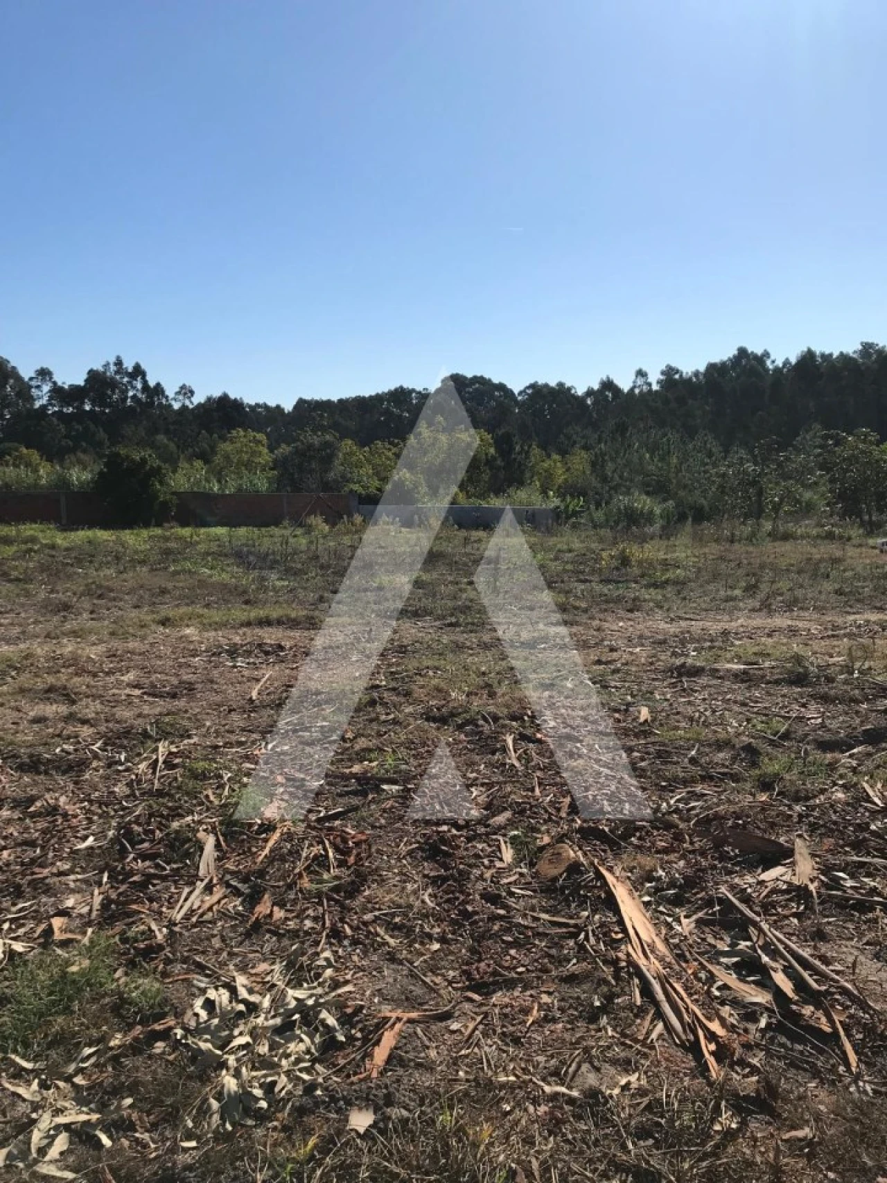Terreno para Venda em Palhaça Foto 12