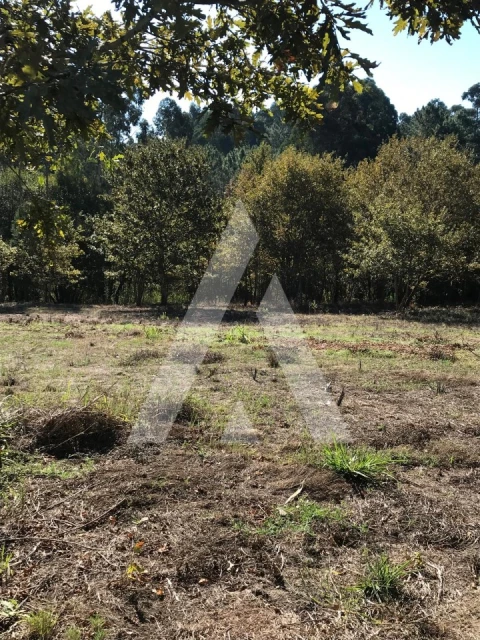 Terreno para Venda em Palhaça