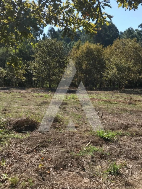 Terreno para Venda em Palhaça