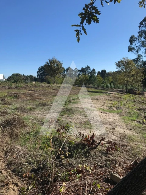 Terreno para Venda em Palhaça