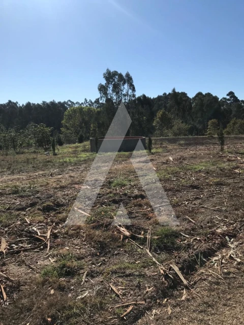 Terreno para Venda em Palhaça