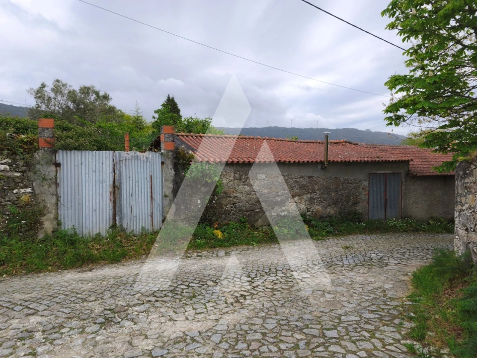 Terreno para Venda em Afife Foto 2