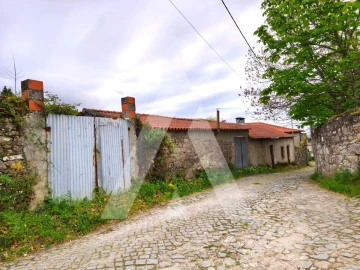 Terreno para Venda em Afife