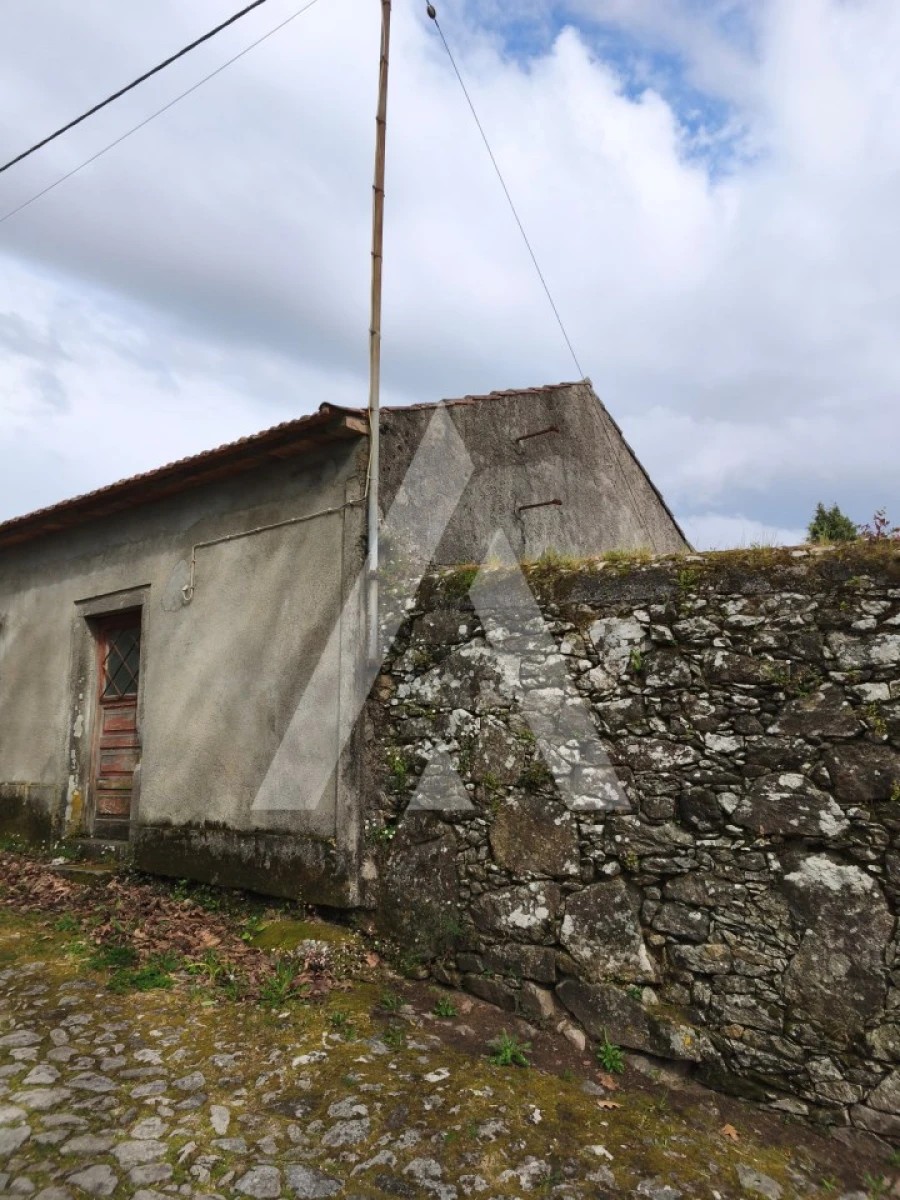 Terreno para Venda em Afife Foto 12