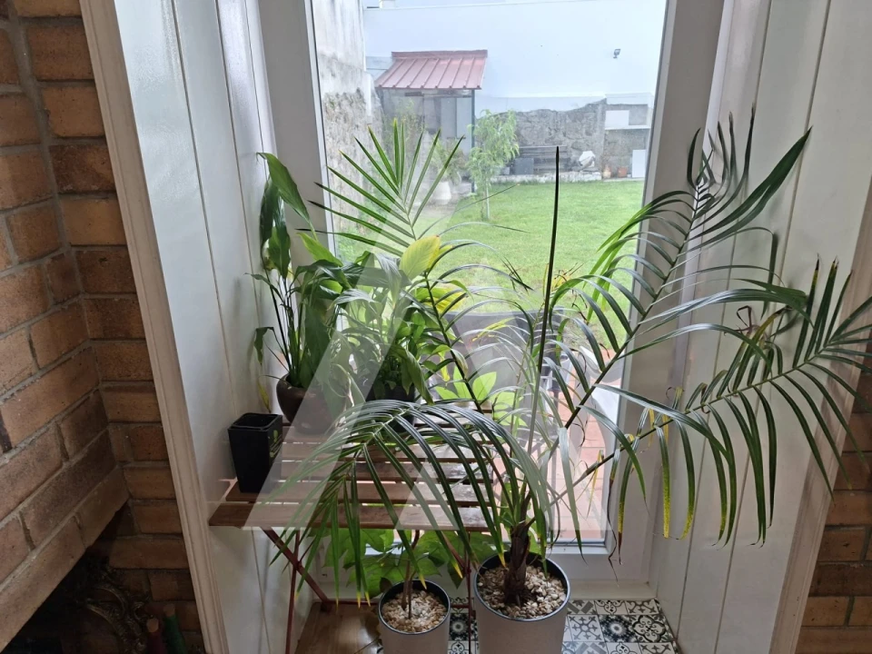 Loja para Venda em Santa Maria Maior e Monserrate e Meadela Foto 28