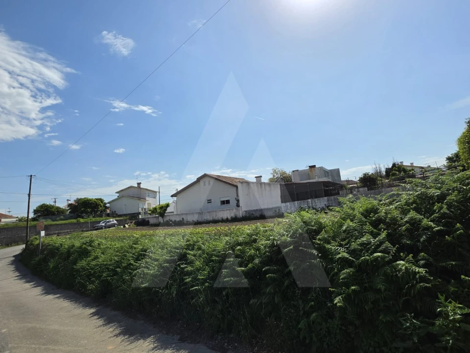 Terreno para Venda em Esgueira Foto 9