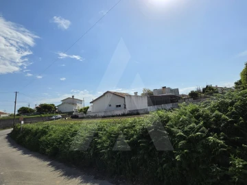 Terreno para Venda em Esgueira