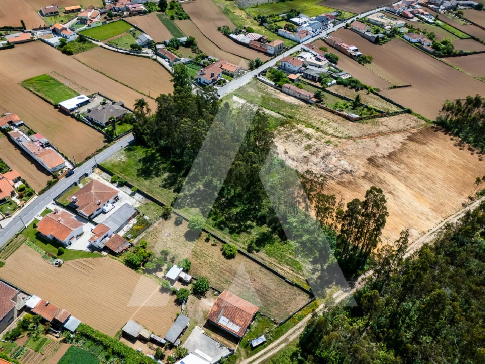Terreno para Venda em Valega Foto 2