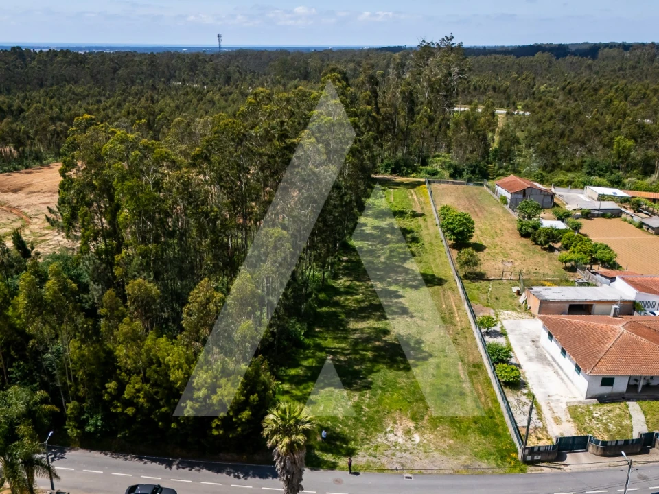Terreno para Venda em Valega Foto 4
