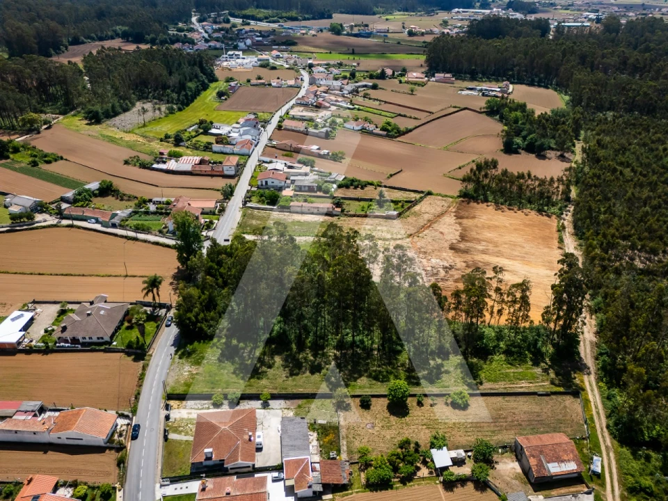 Terreno para Venda em Valega Foto 5