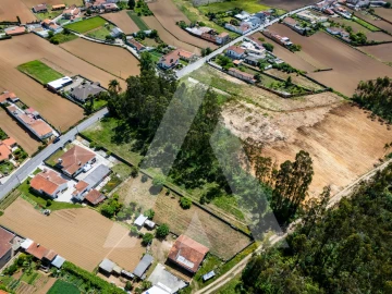 Terreno para Venda em Valega