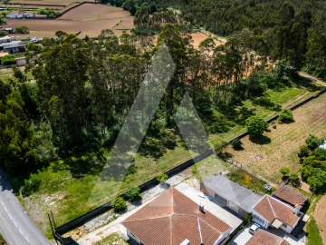 Terreno para Venda em Valega