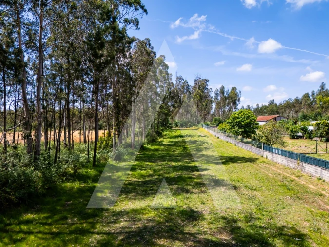 Terreno para Venda em Valega Foto 3