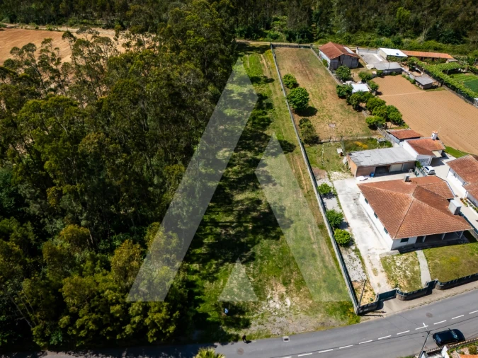 Terreno para Venda em Valega Foto 10