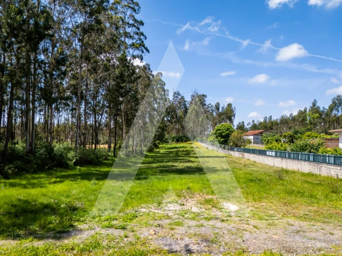 Terreno para Venda em Valega Foto 12