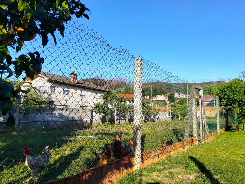 Moradia T3 para Venda em Branca Foto 11