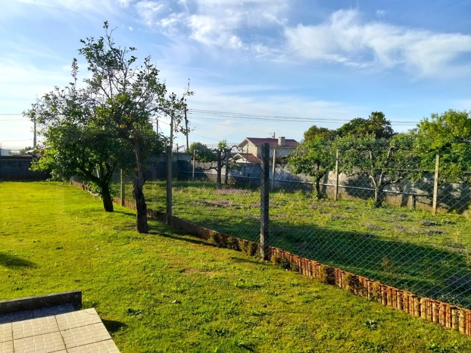 Moradia T3 para Venda em Branca Foto 13