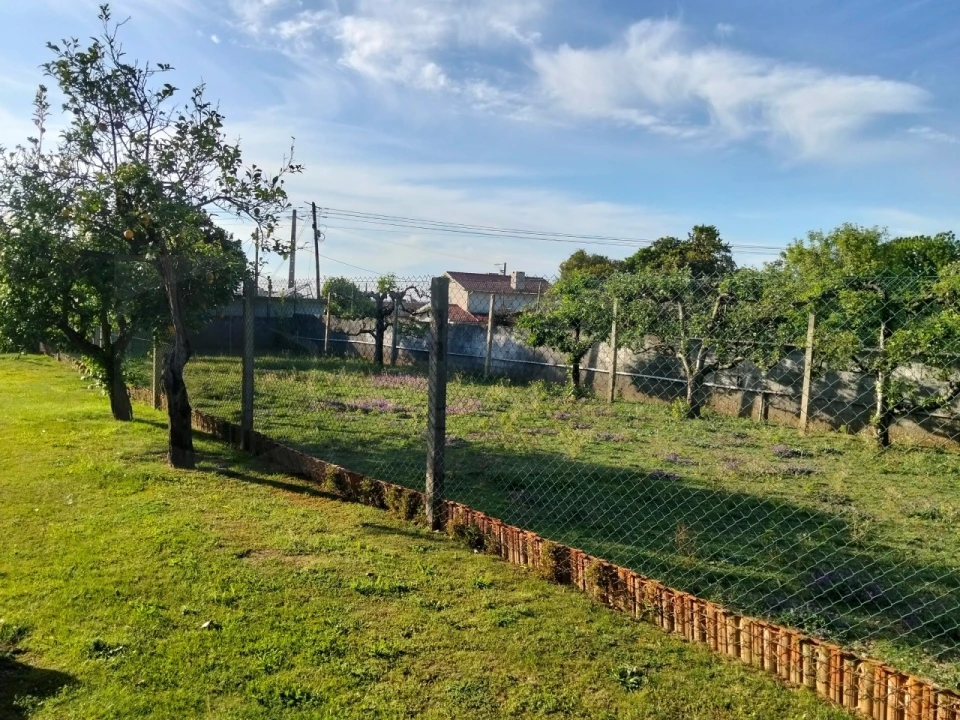 Moradia T3 para Venda em Branca Foto 16