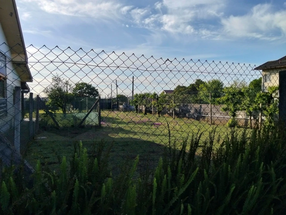 Moradia T3 para Venda em Branca Foto 17