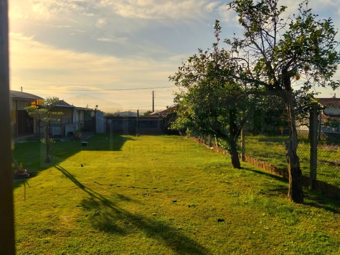 Moradia T3 para Venda em Branca Foto 15
