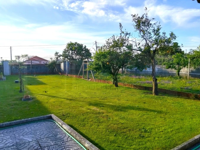 Moradia T3 para Venda em Branca Foto 19