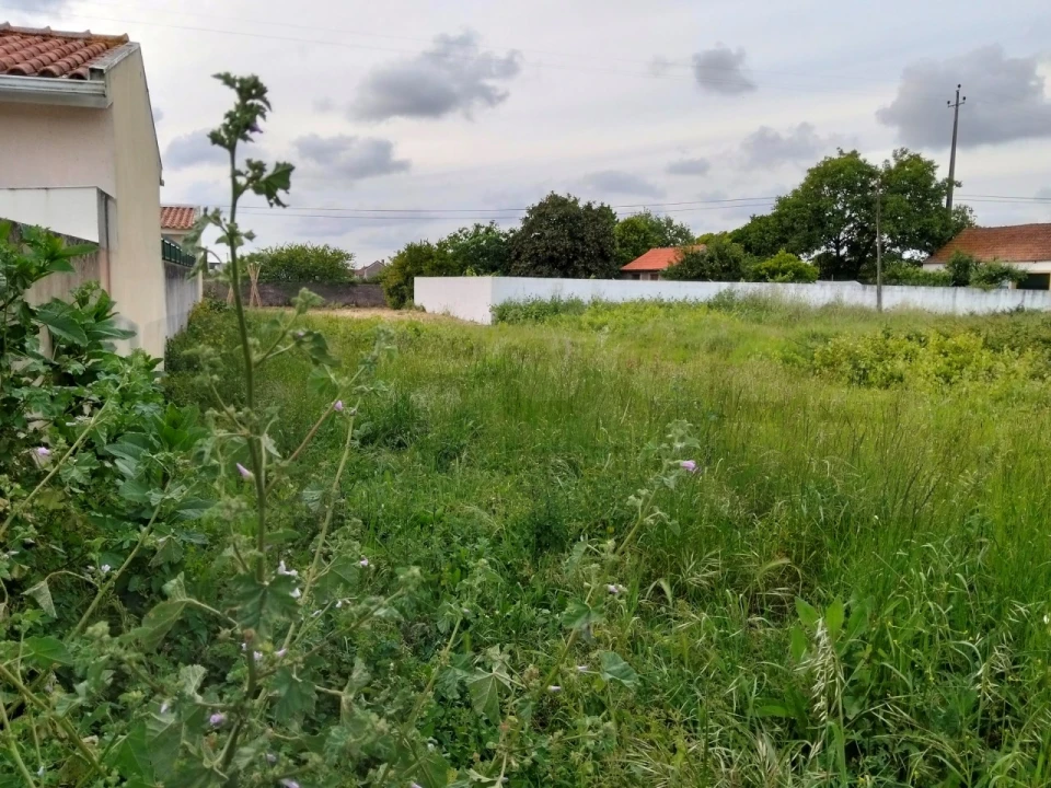 Terreno para Venda em Aradas Foto 6