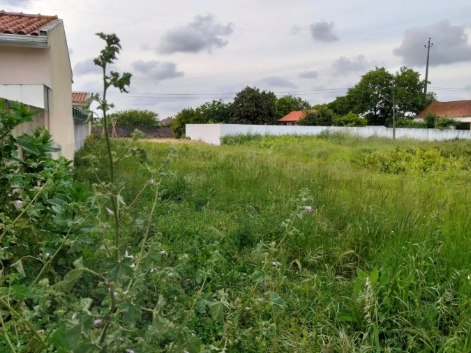 Terreno para Venda em Aradas Foto 2