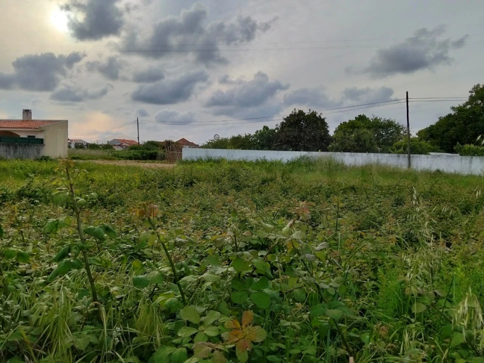 Terreno para Venda em Aradas Foto 2