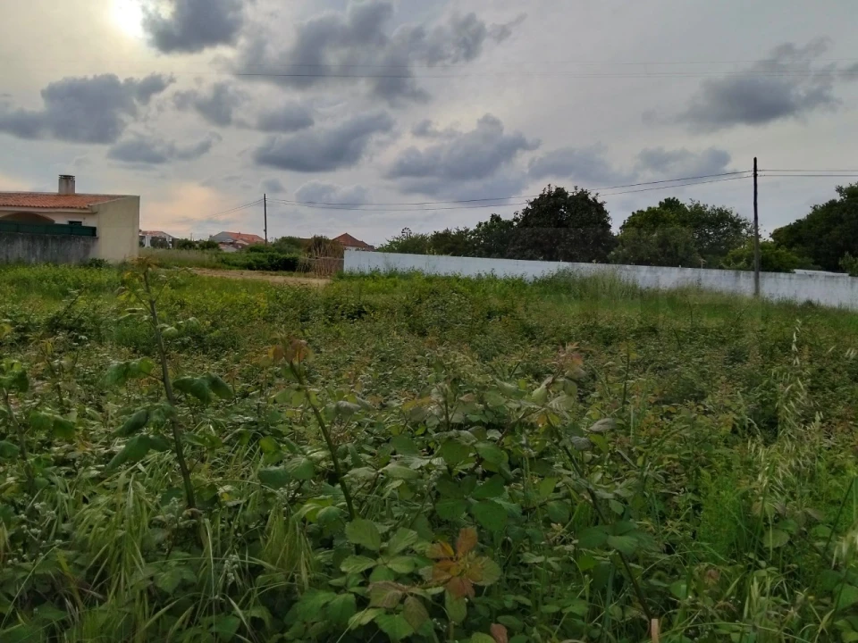 Terreno para Venda em Aradas Foto 4
