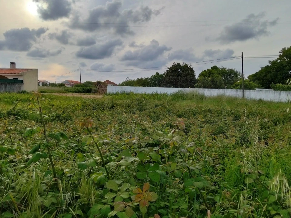 Terreno para Venda em Aradas Foto 5