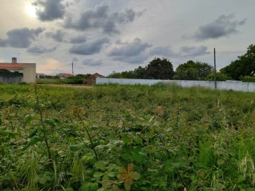 Terreno para Venda em Aradas
