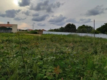 Terreno para Venda em Aradas
