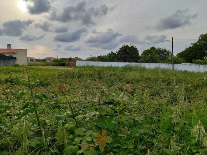 Terreno para Venda em Aradas Foto 5