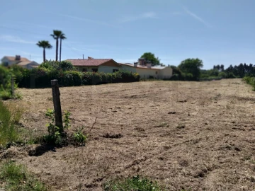 Terreno para Venda em Bustos, Troviscal e Mamarrosa
