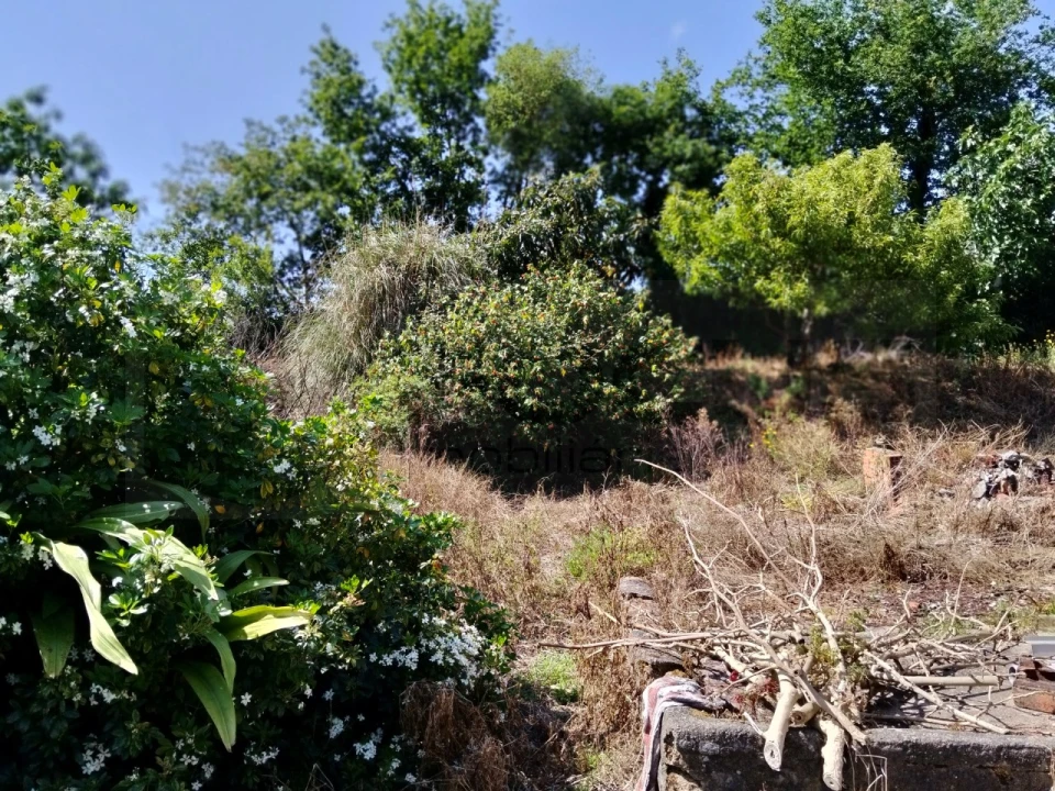 Moradia T3 para Venda em Alquerubim Foto 10