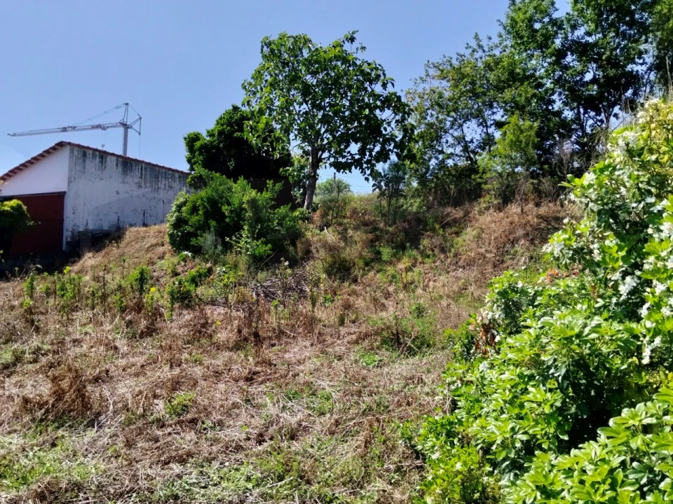 Moradia T3 para Venda em Alquerubim Foto 7
