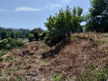 Moradia T3 para Venda em Alquerubim