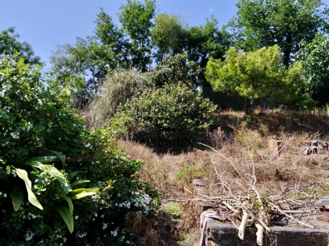 Moradia T3 para Venda em Alquerubim Foto 10
