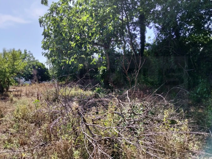 Moradia T3 para Venda em Alquerubim Foto 14
