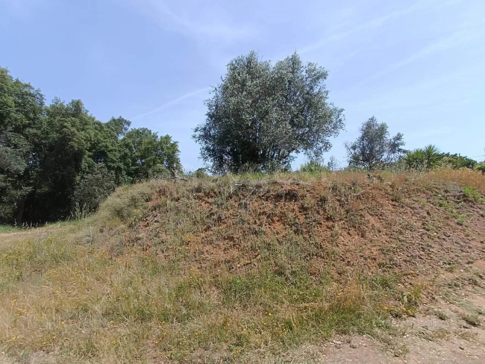 Moradia T2 para Venda em Serra e Junceira Foto 17