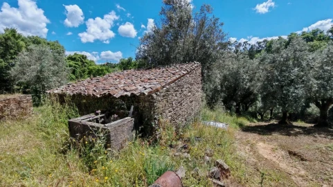 Moradia T2 para Venda em Serra e Junceira