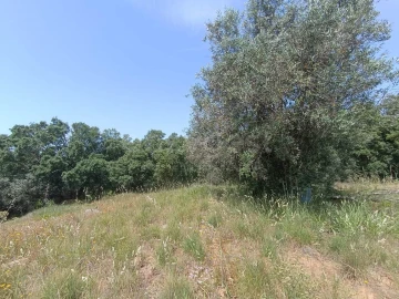 Moradia T2 para Venda em Serra e Junceira
