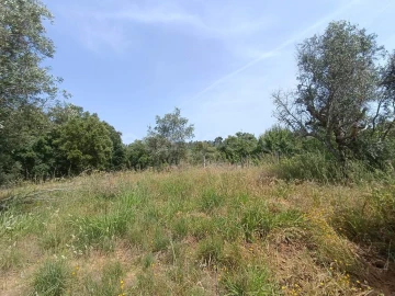 Moradia T2 para Venda em Serra e Junceira