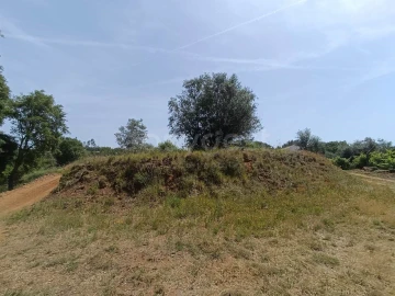 Moradia T2 para Venda em Serra e Junceira