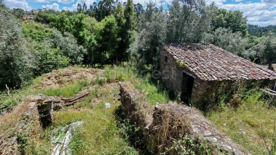 Moradia T2 para Venda em Serra e Junceira Foto 11